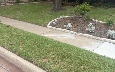 Photo of Matthew C.'s yard after getting landscaping in Plano, TX