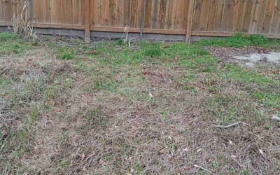Photo of Maria M.'s yard after getting landscaping in Hankamer, TX
