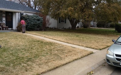 Photo of Diane M.'s yard after getting landscaping in Conifer, CO