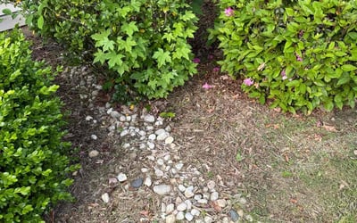 Photo of Raymond R.'s yard after getting landscaping in Simpsonville, SC