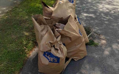 Photo of James D.'s yard after getting landscaping in Isle Of Palms, SC
