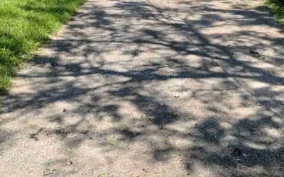 Photo of Jane M.'s yard after getting landscaping in Connellsville, PA