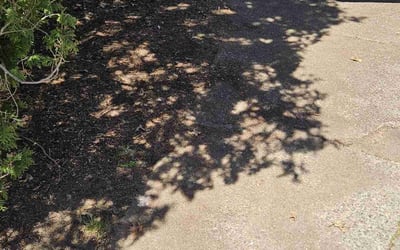 Photo of Rosalind J.'s yard after getting landscaping in Cranberry Twp, PA
