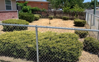 Photo of Ryan B.'s yard after getting landscaping in Sloughhouse, CA