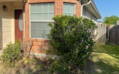 Photo of Kim B.'s yard after getting landscaping in Manor, TX