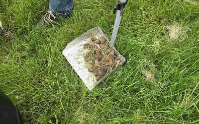 Photo of Erin M.'s yard after getting landscaping in Indianapolis, IN