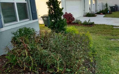 Photo of Ben F.'s yard after getting tree care in Parrish, FL