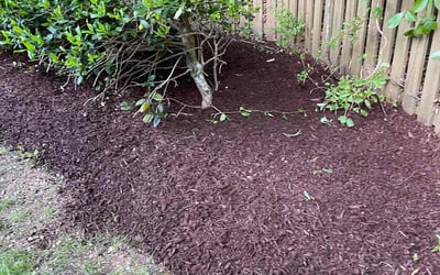 Photo of Jeff B.'s yard after getting landscaping in Pine Level, NC