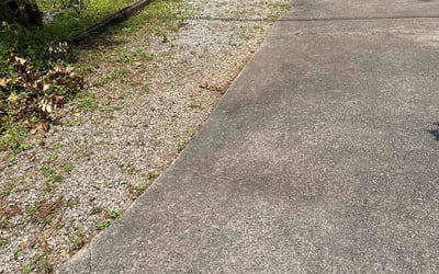 Photo of Justin B.'s yard after getting landscaping in Felton, GA