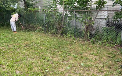 Photo of Dalton J.'s yard after getting landscaping in Randolph, NJ