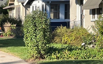 Photo of Donald C.'s yard after getting landscaping in Howard Lake, MN