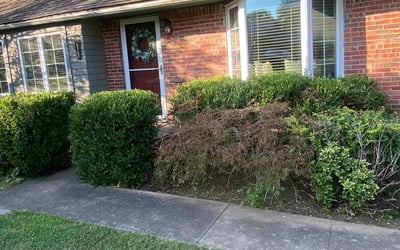 Photo of Matthew F.'s yard after getting landscaping in Bristow, OK