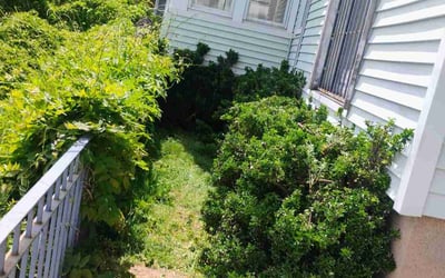 Photo of Nick D.'s yard after getting landscaping in Paramus, NJ