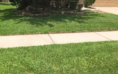 Photo of Tameka W.'s yard after getting landscaping in Liverpool, TX