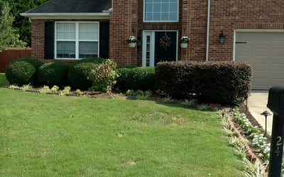 Photo of Rose B.'s yard after getting landscaping in Travelers Rest, SC