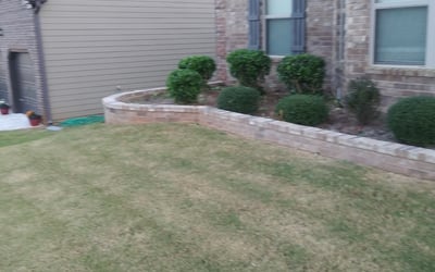 Photo of Mark S.'s yard after getting tree care in Snellville, GA