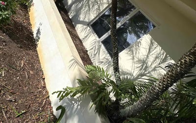 Photo of Jessica G.'s yard after getting tree care in Deerfield Beach, FL
