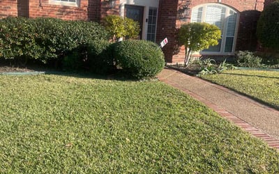 Photo of Byron E.'s yard after getting landscaping in Plano, TX