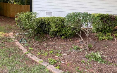 Photo of Thomas D.'s yard after getting landscaping in Covington, GA