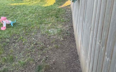 Photo of Linda B.'s yard after getting landscaping in Waverly, NE