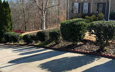 Photo of Brenda S.'s yard after getting landscaping in Jackson, GA