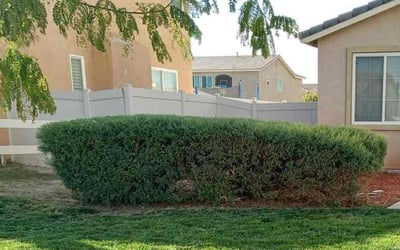 Photo of Gloria J.'s yard after getting landscaping in Goleta, CA