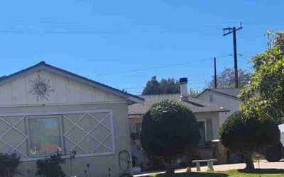 Photo of Carmen P.'s yard after getting tree care in Santa Barbara, CA