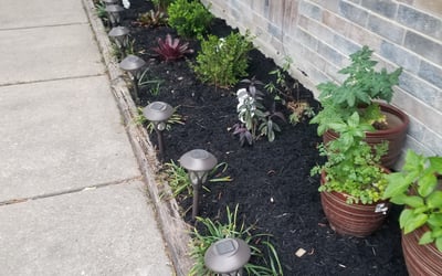 Photo of Angela W.'s yard after getting landscaping in North Houston, TX