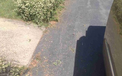 Photo of Robert K.'s yard after getting landscaping in Guilford, CT
