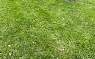 Photo of Karen B.'s yard after getting landscaping in Chisago City, MN