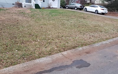 Photo of Hanyi M.'s yard after getting tree care in Suwanee, GA