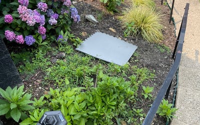 Photo of Amber H.'s yard after getting landscaping in Connellsville, PA