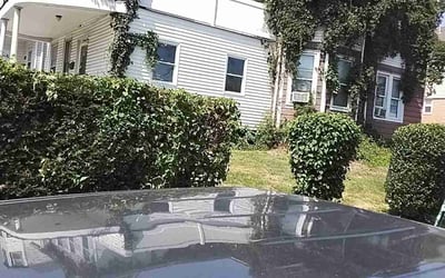 Photo of Kathy M.'s yard after getting lawn care in Wyckoff, NJ