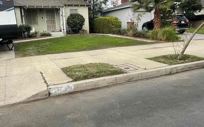 Photo of Carol M.'s yard after getting landscaping in Calabasas, CA