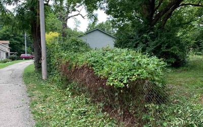 Photo of Michael M.'s yard after getting landscaping in Fort Mitchell, KY