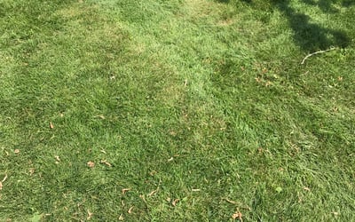 Photo of Paul B.'s yard after getting landscaping in Hartford, WI