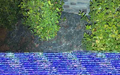 Photo of Christina G.'s yard after getting landscaping in Clayton, NC