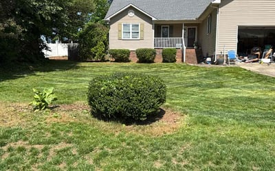 Photo of Frank B.'s yard after getting landscaping in Denver, NC