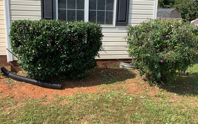 Photo of Gary B.'s yard after getting landscaping in Alexis, NC