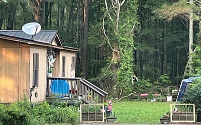 Photo of Kiyah L.'s yard after getting tree care in Lithia Springs, GA