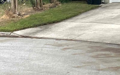 Photo of Frank T.'s yard after getting landscaping in Astor, FL