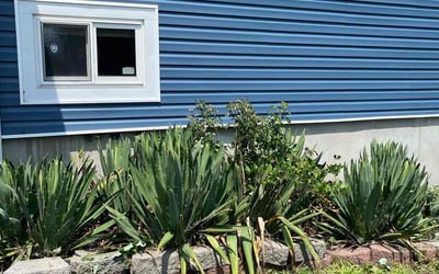 Photo of Lisa W.'s yard after getting landscaping in Patchogue, NY