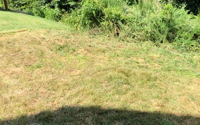 Photo of Lisa R.'s yard after getting landscaping in Barium Springs, NC