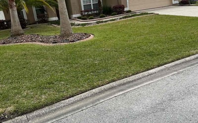 Photo of Shmetrius C.'s yard after getting tree care in Middleburg, FL