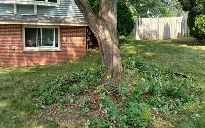 Photo of James O.'s yard after getting landscaping in Cologne, MN