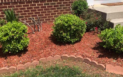 Photo of Stacey C.'s yard after getting landscaping in Bowie, MD