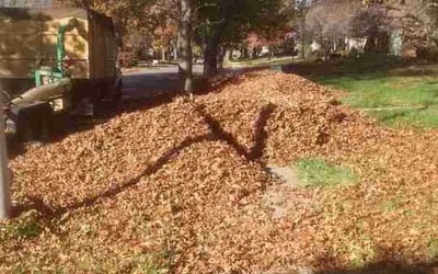 Photo of Jay D.'s yard after getting landscaping in Edison, NJ