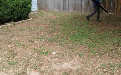 Photo of Melanie D.'s yard after getting landscaping in La Coste, TX