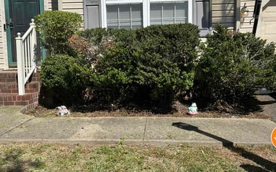 Photo of Dhimi-Gustavo G.'s yard after getting landscaping in Sandston, VA