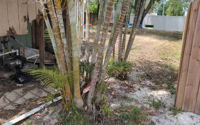 Photo of Lillian H.'s yard after getting landscaping in Jensen Beach, FL